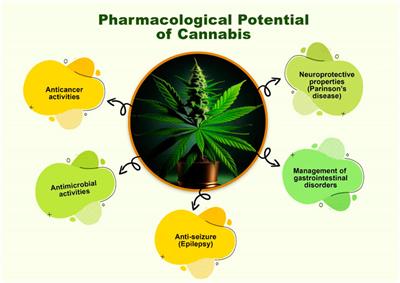 Cannabis: a multifaceted plant with endless potentials